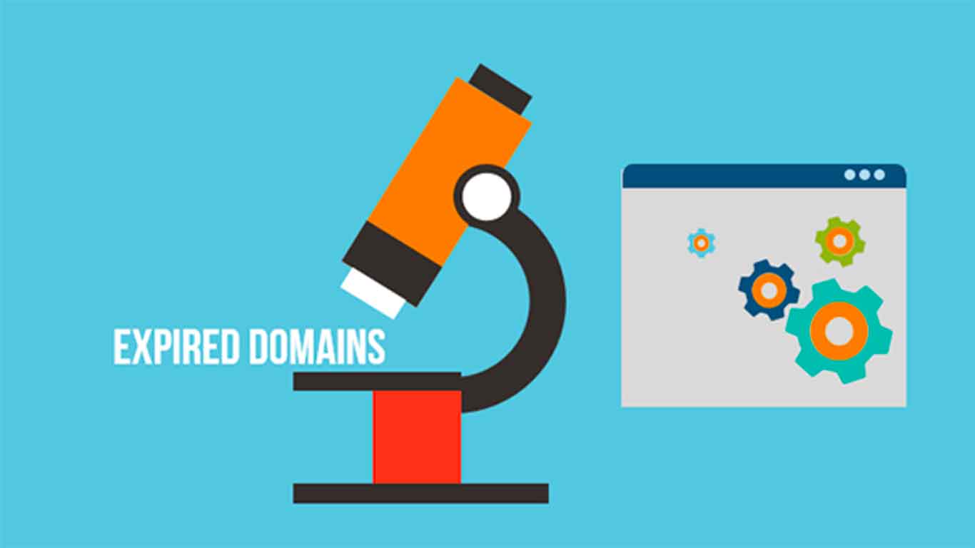 Tips Mencari Expired Domain